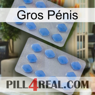 Gros Pénis 20